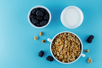 Nuts oatmeal granola with berries in a bowl