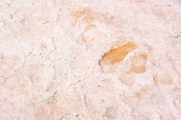 Cristallized salt of pink salt lake