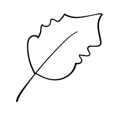 Hand drawn vector Leaf Line art illustration