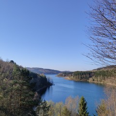 Fototapeta premium River guidance in a picturesque scenery of trees