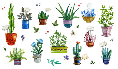 Watercolor houseplant collection, indoor elements set, flower pots, gardening.Watercolor potted plant collection, gardening design elements, flower pots, leaves. 