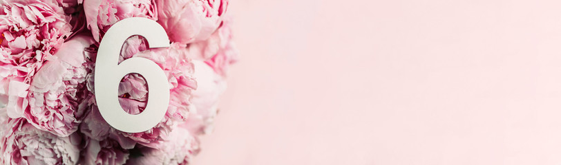 Creative layout. Pink peony flowers and digit six 6. Birthday greeting card. Anniversary concept....