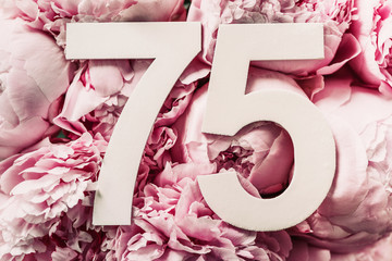 Peony flowers, digit seventy-five. Birthday greeting card with inscription 75. Anniversary concept. Top view. White numeral on flower background. Numerical digit, Celebration event, template, flyer