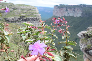 Chapada Diamantina - Bahia