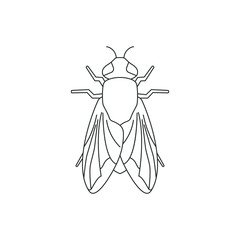 Fly, housefly, insect line icon isolated on white background. Vector illustration