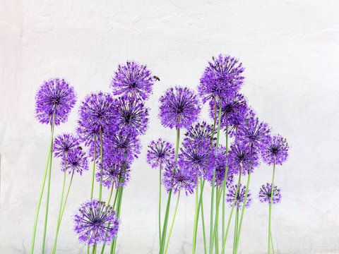 Creative blue flowers round shape on light background concrete wall