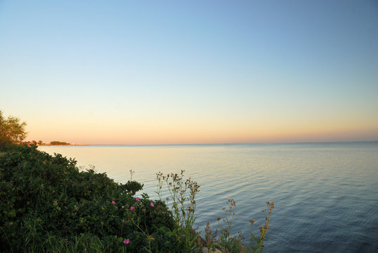 Calm blue water of Pucka Bay, sunset sky and bush of wild roses