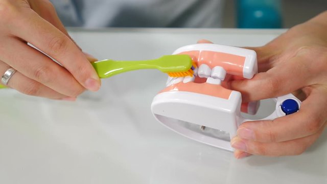 Oral hygiene for dental braces. Orthodontic Treatment concept. Teaching dental care. Dentist showing on jaw model how to clean teeth with special brush for teeth with bracket system. 4 k video