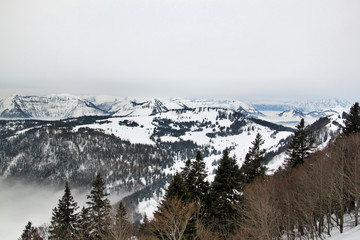 Fototapeta na wymiar A view of the snow capped Austrian Mountains near Saltzburg