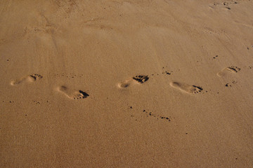 Fototapeta na wymiar lonely human footprints in the sand by the sea