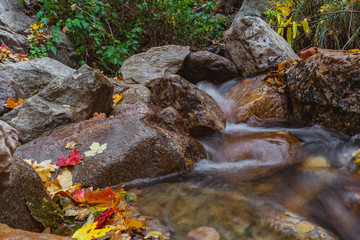Utah mountain trail 25