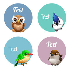 cute cartoon labels of Birds, eagle owl, parrot. Chaffinch. green bird. Sparrow, blue crest, Canary,