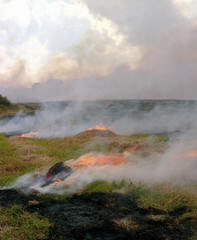 Burning fields