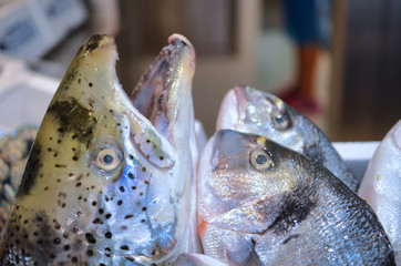 fresh fish on ice