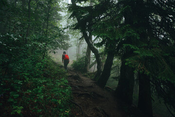 Female hiker in dark mistery misty forest.