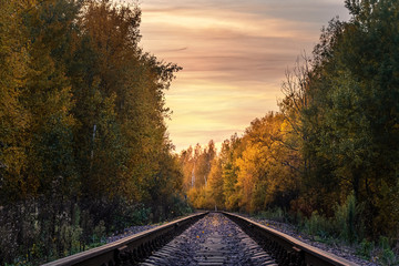 Obraz premium railway in the forest in autumn at sunset