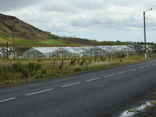 Greenhouses in Iceland Steam Valley