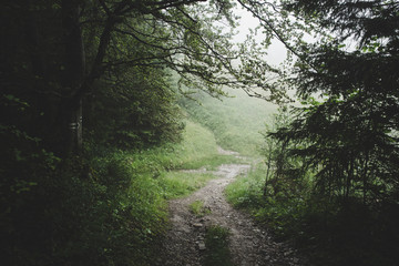 Obraz premium Misty mountains with forest in hipster vintage retro style.