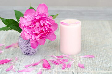 Fototapeta na wymiar Beautiful pink peony flowers and white candle on light grey stone background with copy space for your text top view. Greeting card, SPA and romantic concept.