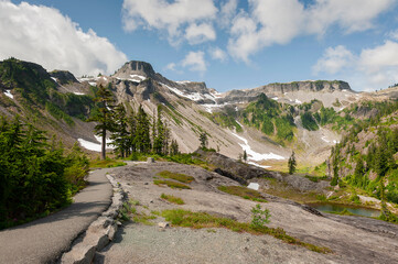 Heather Meadows Trail, Mt. Baker, Washington. Heather and huckleberry meadows dot the majestic landscape at Heather Meadows near the eastern end of the Mount Baker Scenic Byway, Washington State.