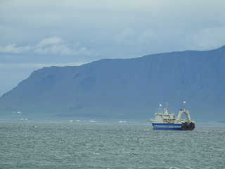 Icelandic fishing boats in Reykjavik Harbor.