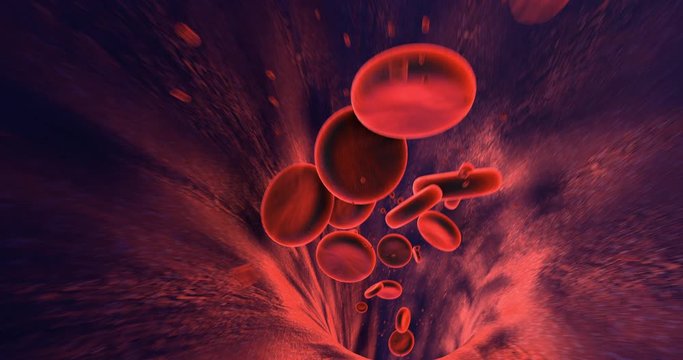 Blood Cells Flowing Slowly Inside Human Vein With Small Particles. Perfect Loop. Science And Health Related High Quality 3D Animation.