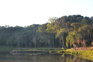 Obraz premium caminho de pedra, céu, árvores, portão, sol, plantação, quietude, paz, teia de aranha, natureza