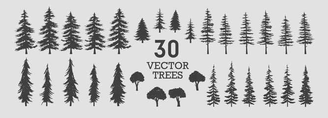 Fototapeta Vector trees - collection of 30 detailed and different tree silhouette illustrations. Eps set.  obraz