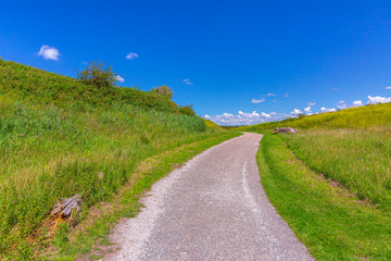 Beautiful yellow colored fields in Buytenpark Zoetermeer, the Netherlands