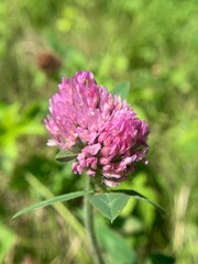 I tend to hike and camp a lot as of late, here are some nature shots I've taken from various camping trips and hikes over the last few months. 