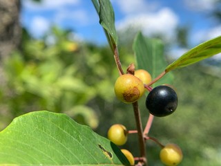 I tend to hike and camp a lot as of late, here are some nature shots I've taken from various camping trips and hikes over the last few months. 