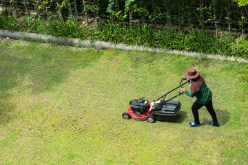 woman worker working pushing grass trimming with a lawnmower