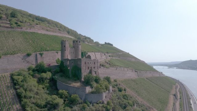 Ehrenfels Castle on Rhine River Hillside