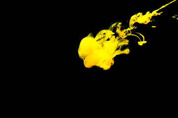 A cloud of yellow paint released into clear water. Isolate on a black background.