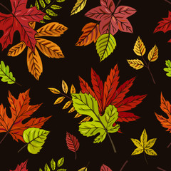 Autumn leaves seamless vector pattern. Falling colorful leaves. Autumnal background. Perfect for seasonal and Thanksgiving Day, greeting cards, textile, wrapping.
