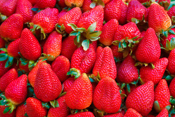 Fresh Juicy Strawberries at the Market