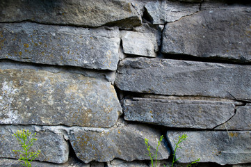 old stone wall with moss