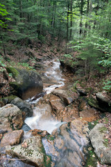 Stream, Flume Gorge, New Hampshire, USA.