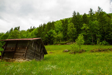 A small wooden cabin built on a mountain slope by a forest in Switzerland. Image features grassland with daisies as well as trees against cloudy sky in this Alpine location.
