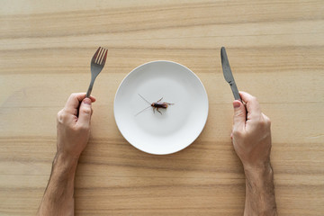 Top view, a man eating a cockroach. Cockroach in a white plate on the kitchen table. Strange taste...