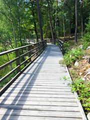 Foot bridge in Scandinavian forest in summertime. Sweden.