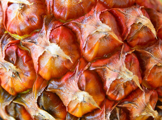 Abstract pineapple skin background texture.Cropped macro shot of tropical fruit peel close up.Selective focus.