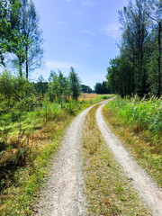 Fototapeta na wymiar Swedish countryside road on a sunny summer day. Forest gravel road.