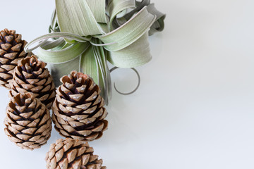 pommes de pin plante vert décoration noël invitation mariage fantaisie
