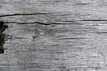 Fototapeta premium bois texture sec noeud fibre