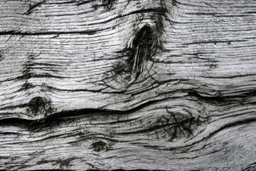 bois texture sec noeud fibre