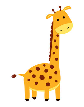 cute cartoon giraffe isolated on white background
