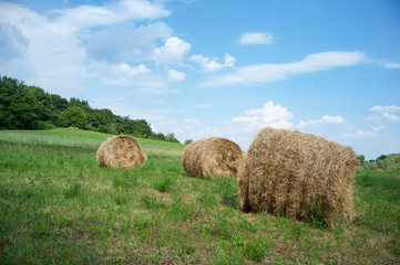 Round bale of hay and straw