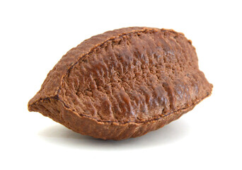 Studio shot of brazil nut on white background