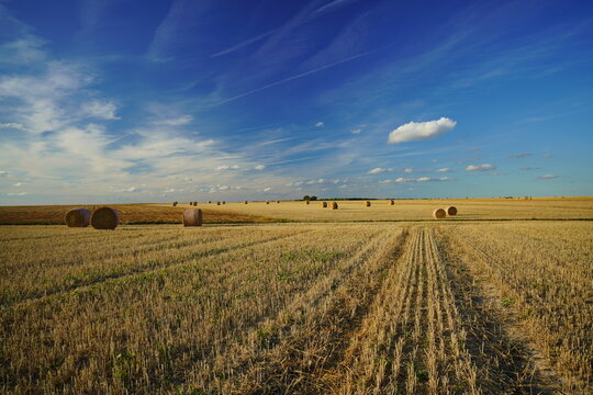 Paysage campagne 770